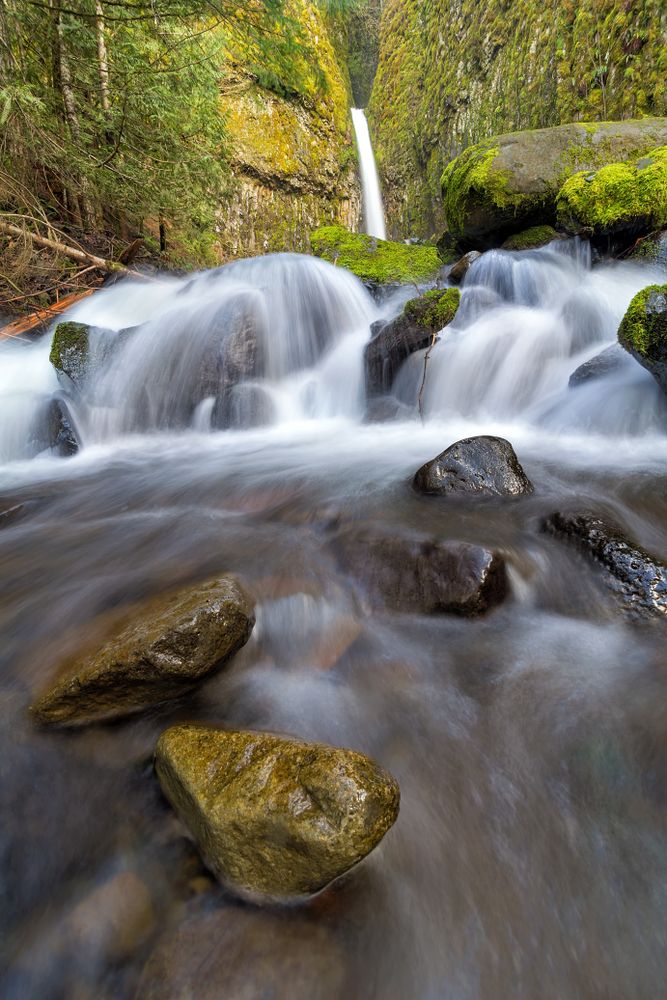 Downstream of Dry Creek Falls Trail