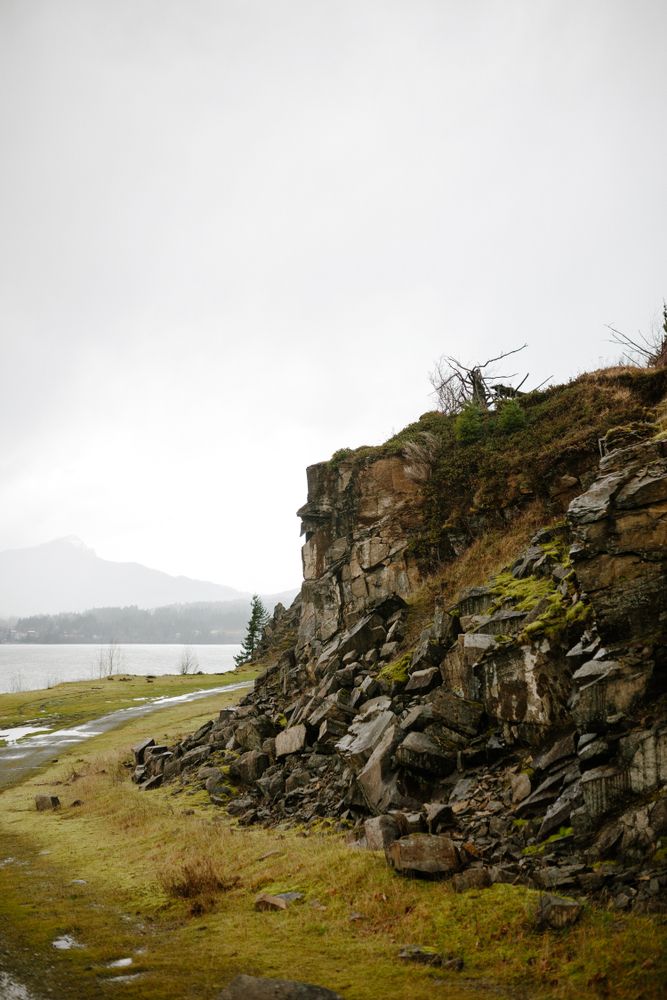 Mossy cliff of Government Cove