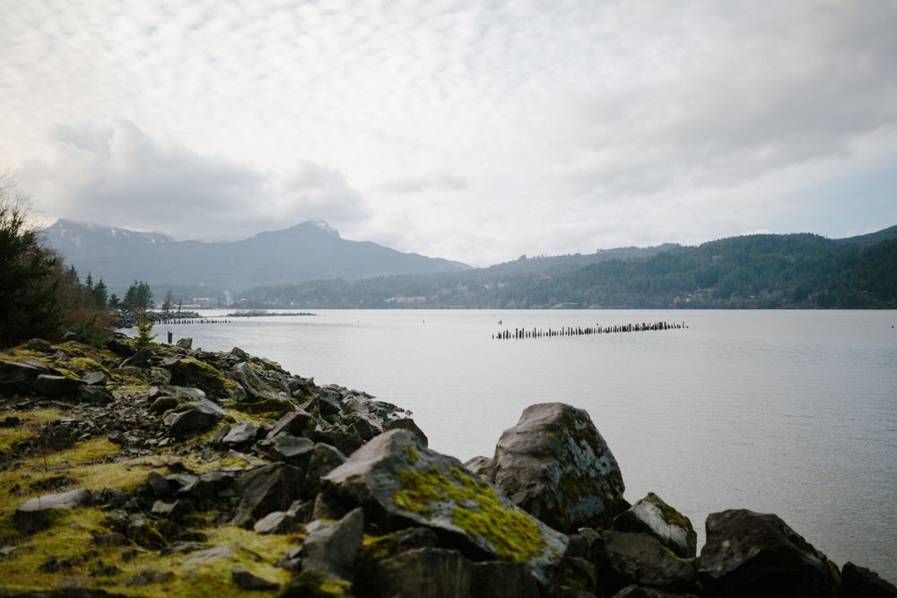 The view from Government Cove