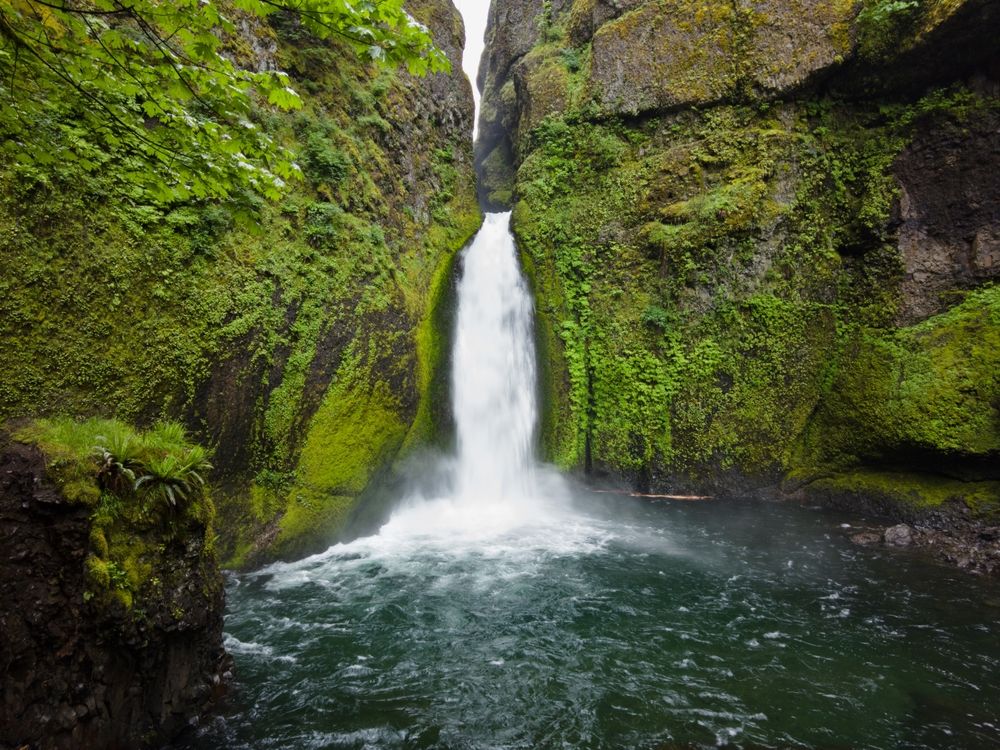 Scenic view of Wahclella Falls