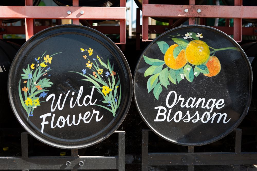 Signs at Showcase of Citrus