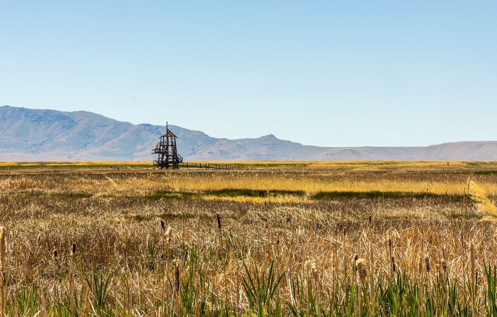 View at Great Salt Lake Shorelands Preserve