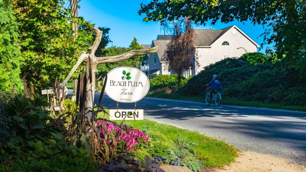 Welcome sign of Beach Plum Farm