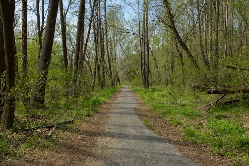 Nature trail at Patapsco Valley State Park
