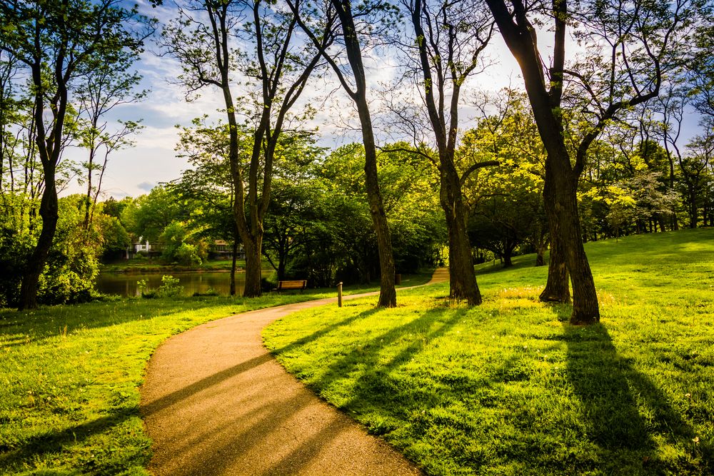 Trail at Wilde Lake Park