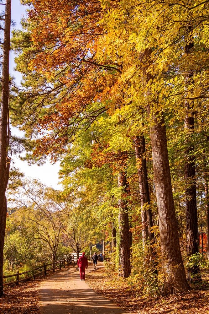People walking along Apex Community Park trail