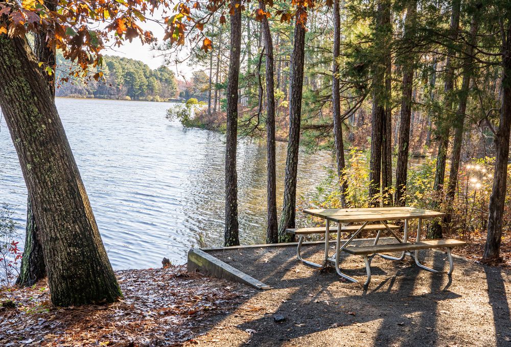 A picnic table overlooking Apex Community Park's lake