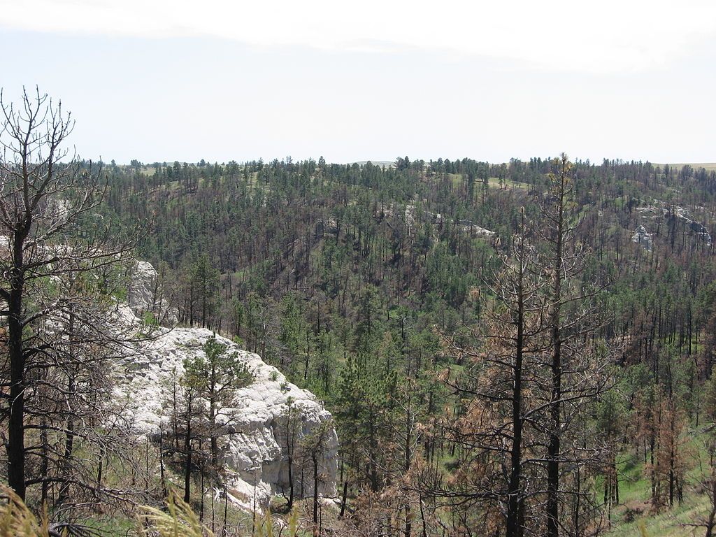 Scenic view of Pine Ridge National Recreation Area