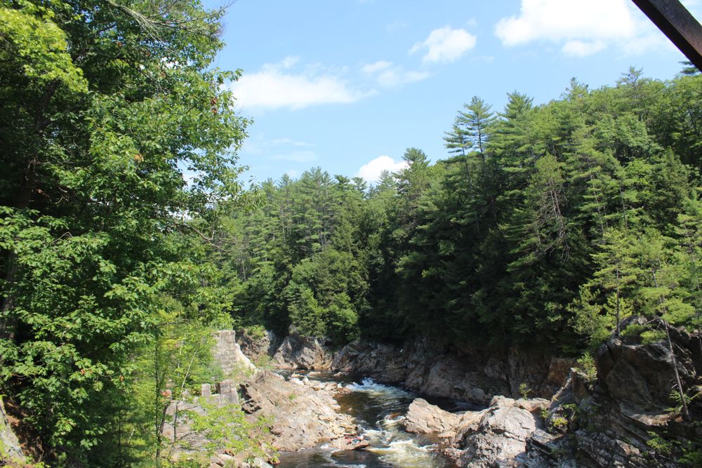 Lush greenery surrounding Livermore Falls