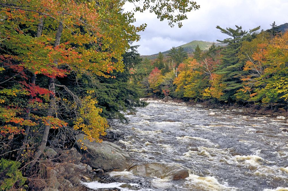 Rapids of Pemigewasset River
