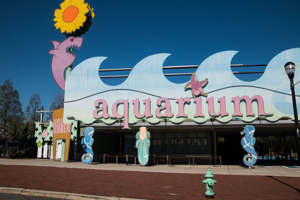 Entrance to Adventure Aquarium