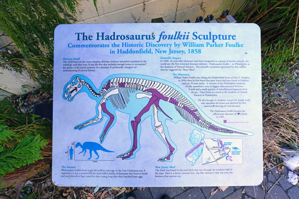 Information board of the Dinosaur Statue in Downtown Haddonfield