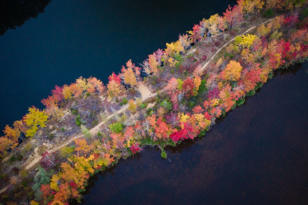 Aerial view of Plainsboro Preserve