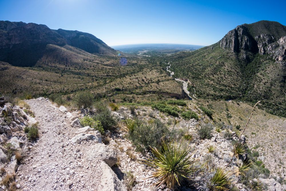 Landscape of Guadalupe Mountains National Park