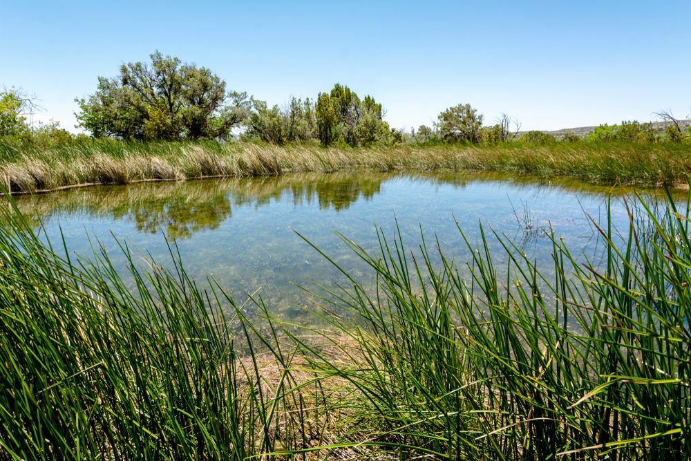 Fossil reef at Guadalupe Mountains National Park