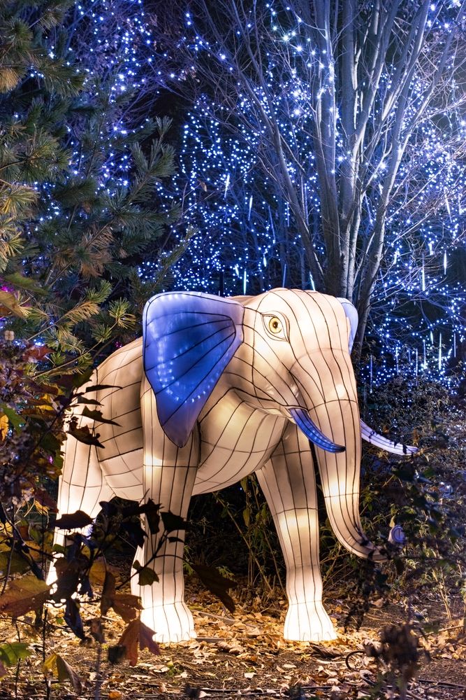 Elephant-shaped lantern at Cincinnati Zoo and Botanical Garden