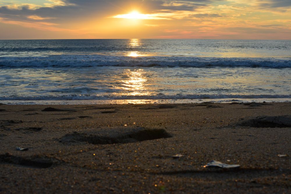 Seashore in Ocracoke Island 