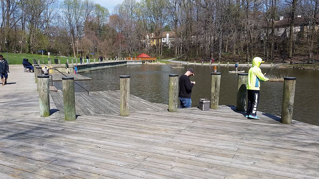 People at Lake Elkhorn's dock
