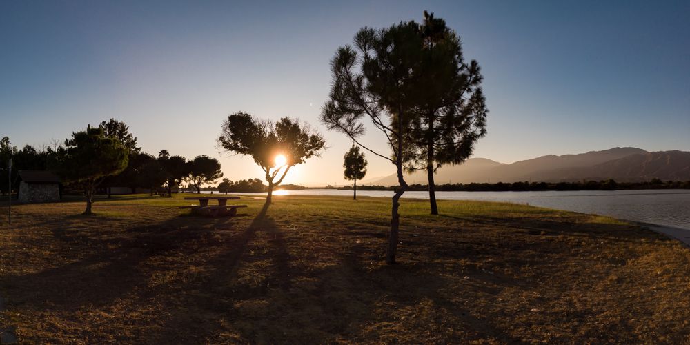 Silhouette of Santa Fe Dam Recreational Area's trees during sunset
