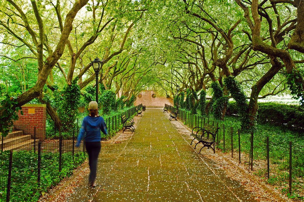A person jogging along Conservatory Garden