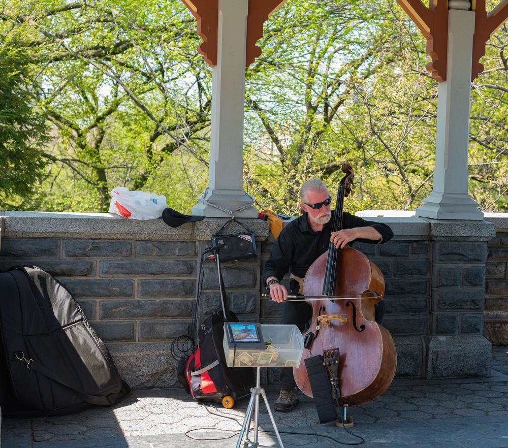 A musician playing cello in Belvedere Castle