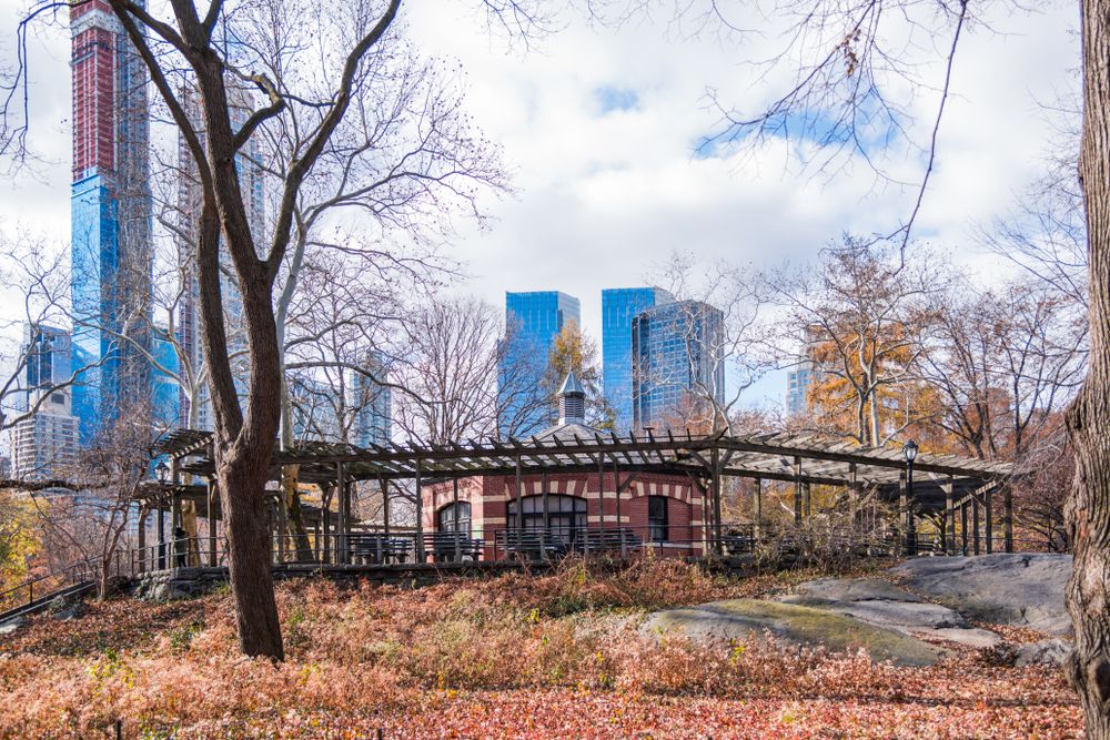 Daytime view of the Chess & Checkers House