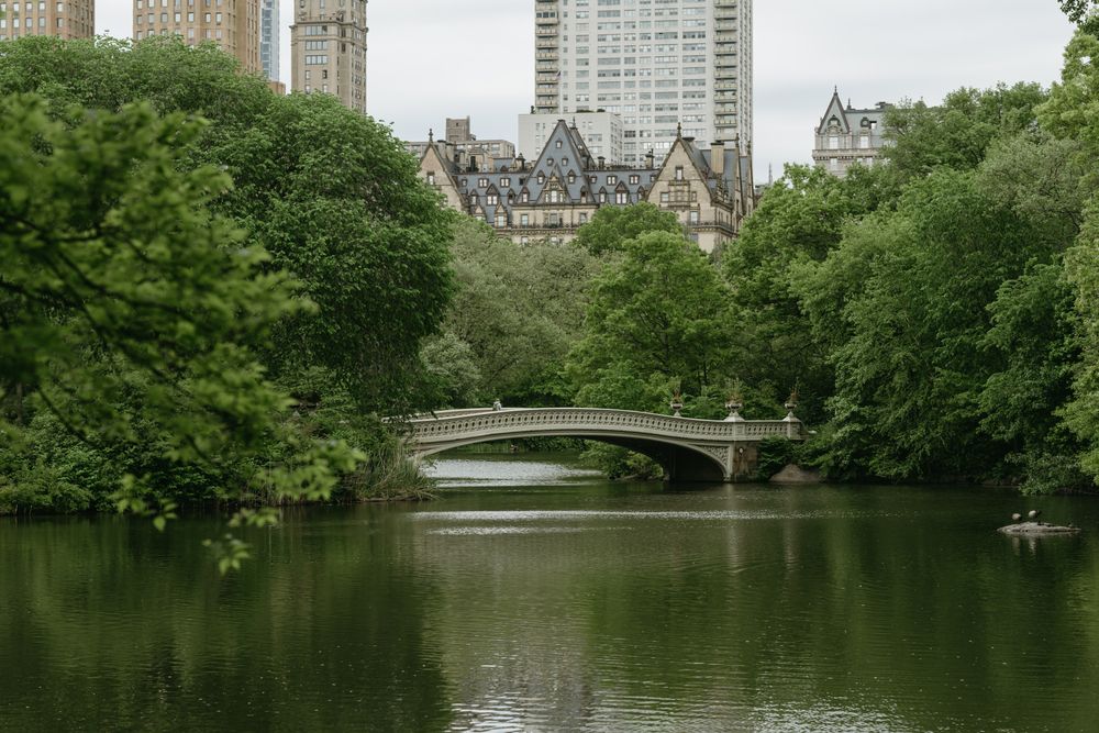 Daytime view of the Old Bow Bridge