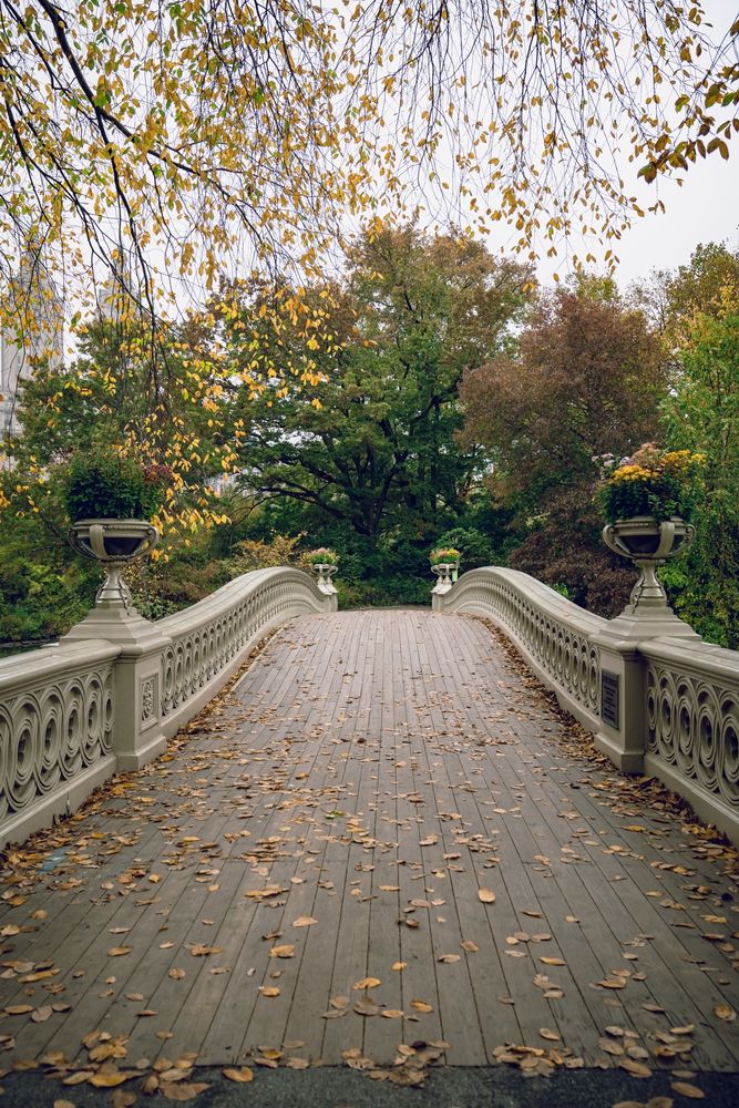 Walkway of Old Bow Bridge