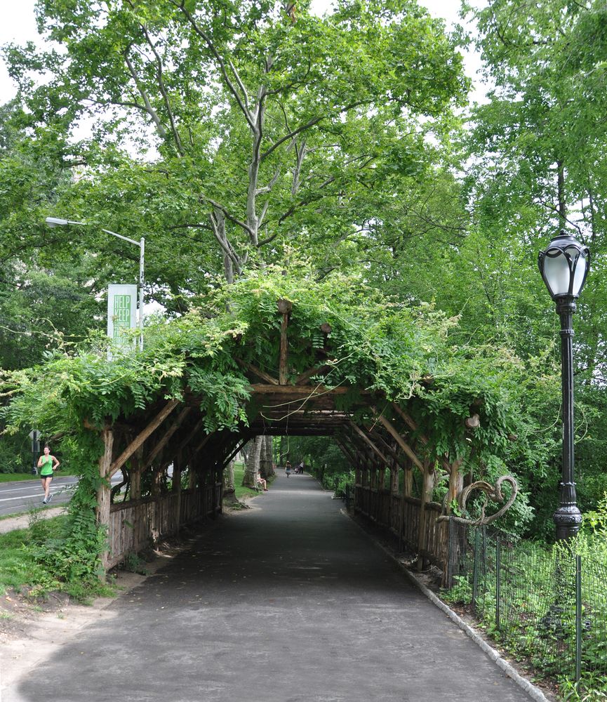 Pathway at Strawberry Fields