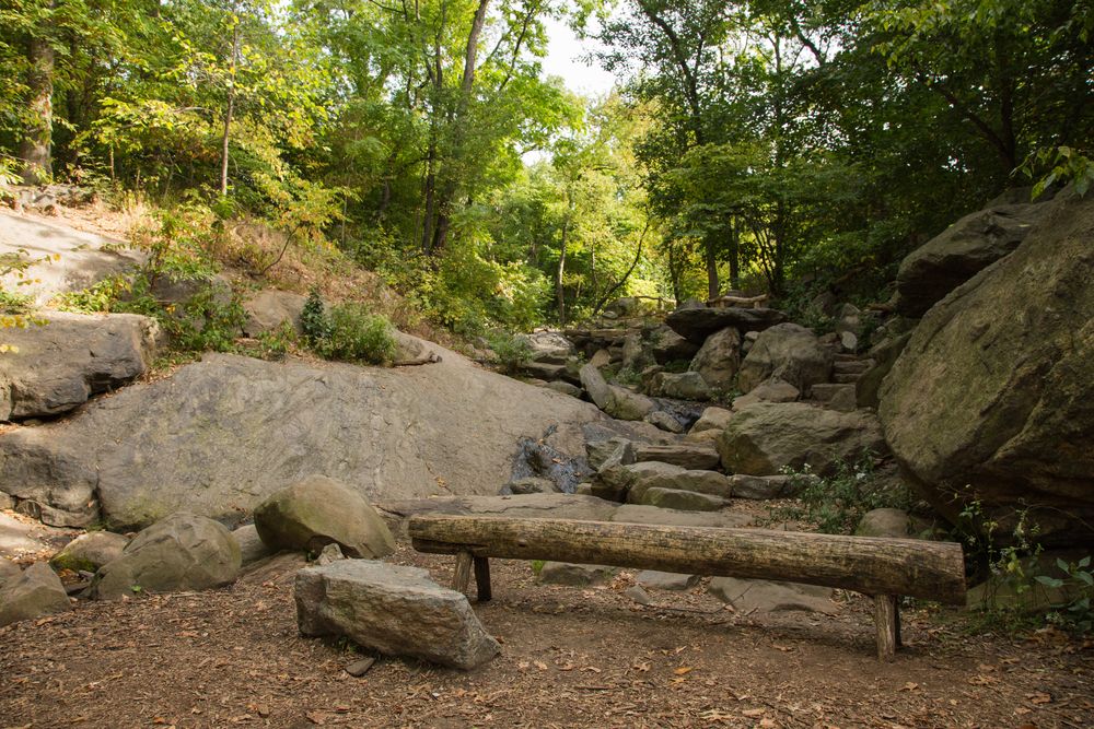 Trunk bench in front of the Ramble's boulders
