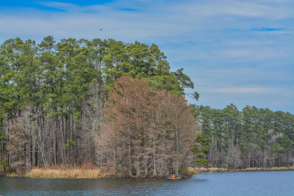 Scenic view of Ratcliff Lake Recreational Area