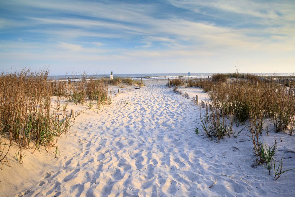 Sand trail leading to Folly Beach