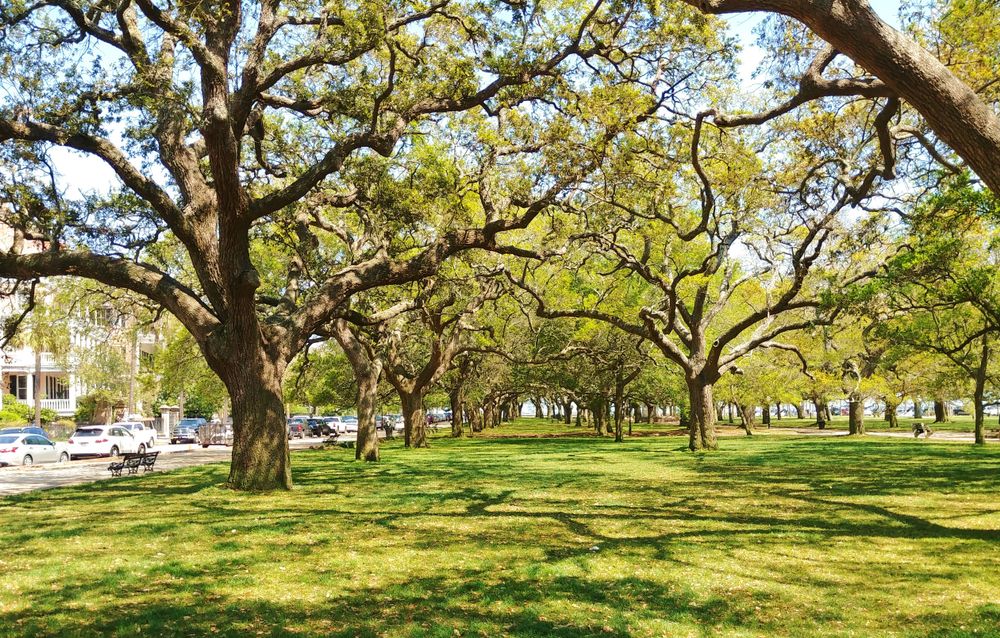 The grounds of White Point Garden