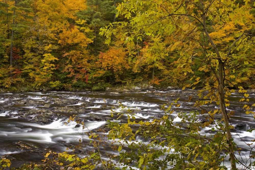 Water rapids of Cherokee National Forest