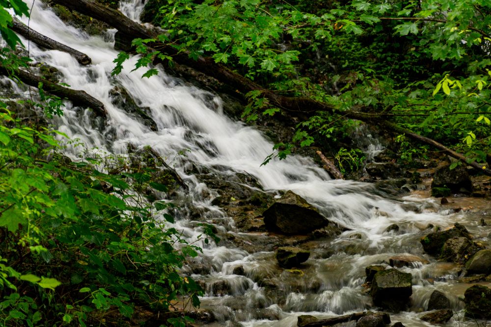 Stream at City Lake Natural Area