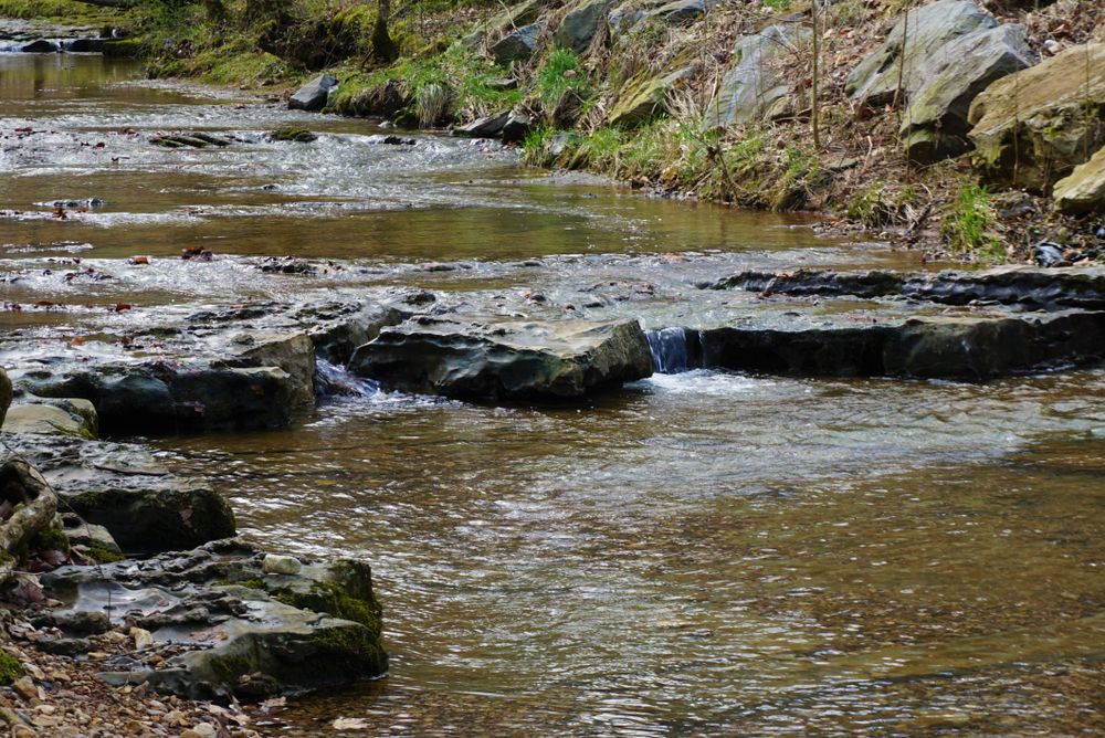 Stream at Rotary Park