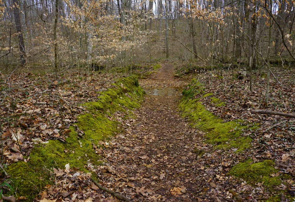 Nature trail at Rotary Park