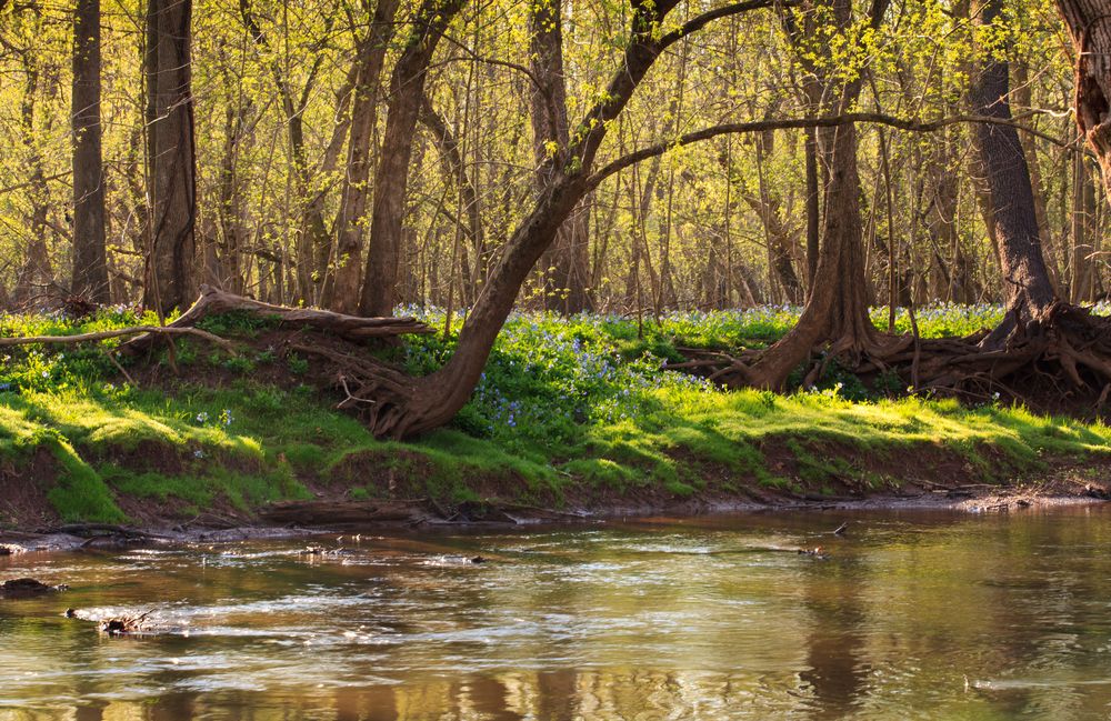 The waters of Bull Run Regional Park