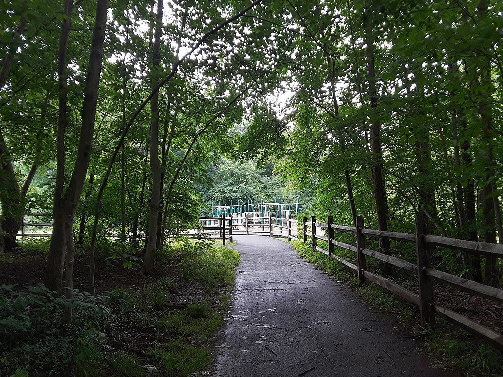 Trail with wooden railing at Cub Run Stream Valley Park