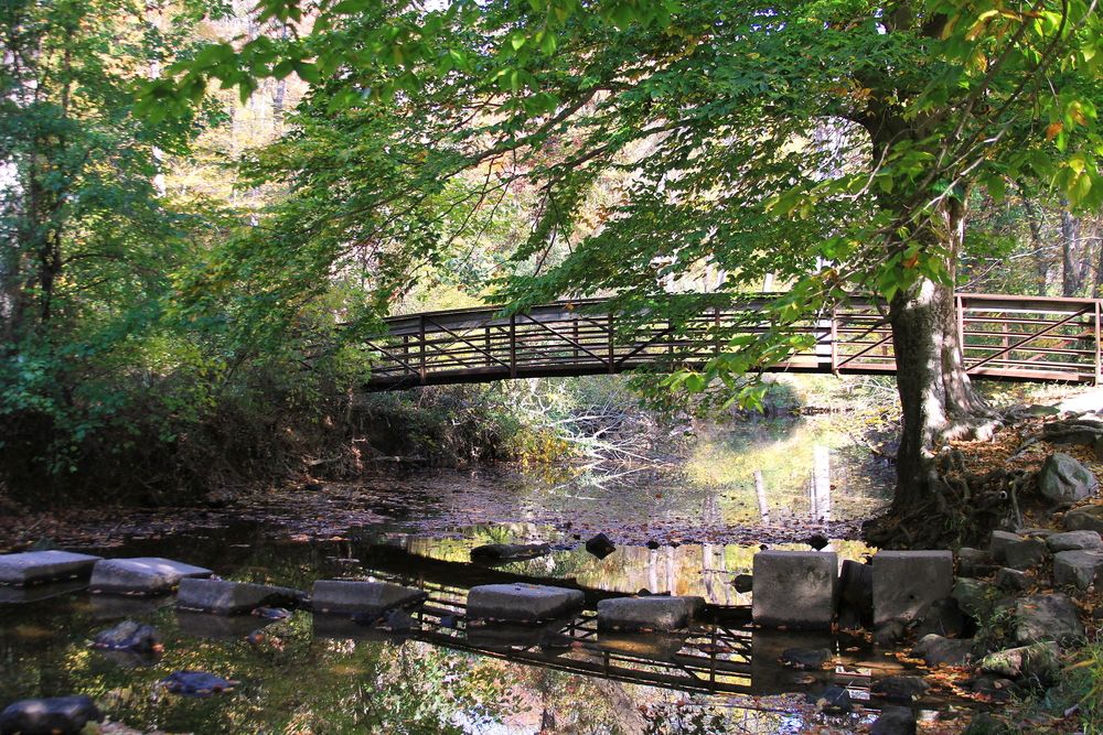 Arched bridge at Ellanor C. Lawrence Park