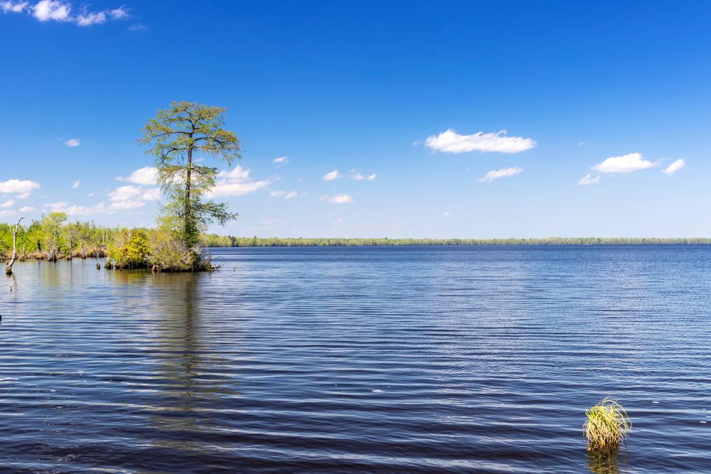 The waters of Lake Drummond
