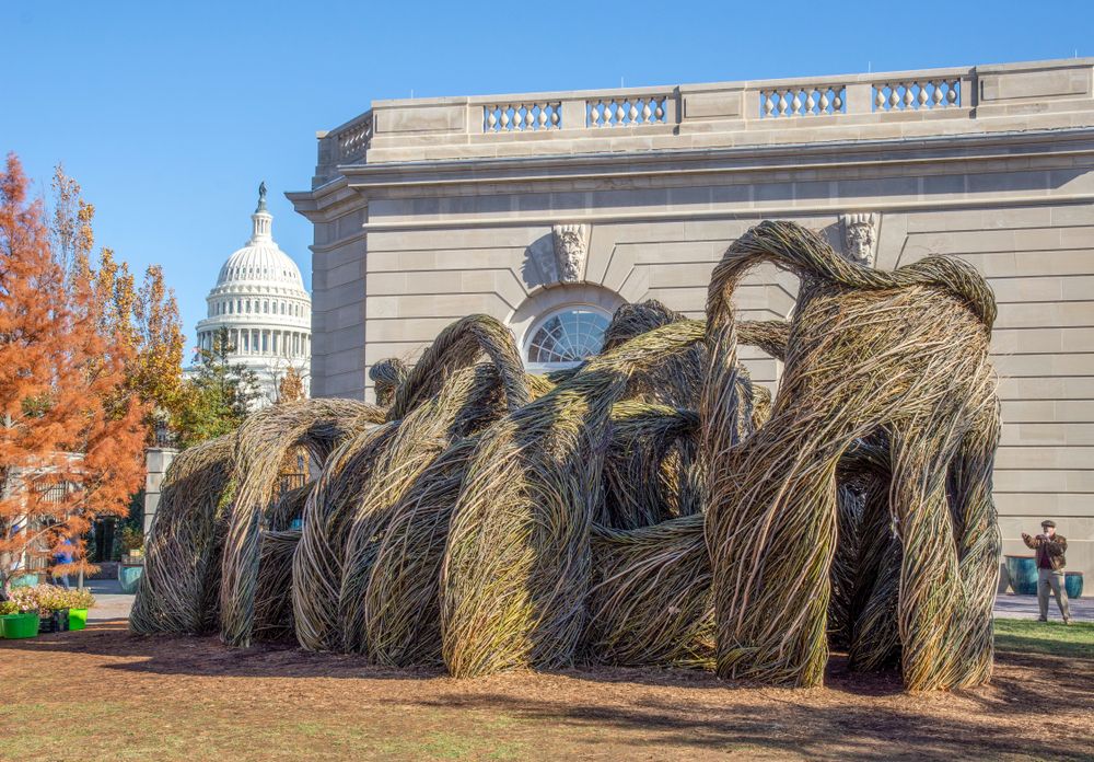 Sculpture at U.S. Botanic Garden