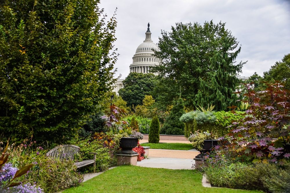 Flora at U.S. Botanic Garden