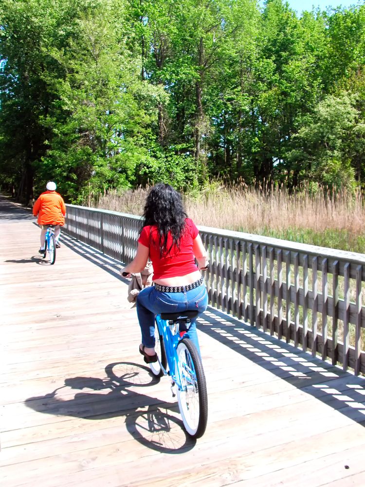 View of People Cycling Around Kent Island
