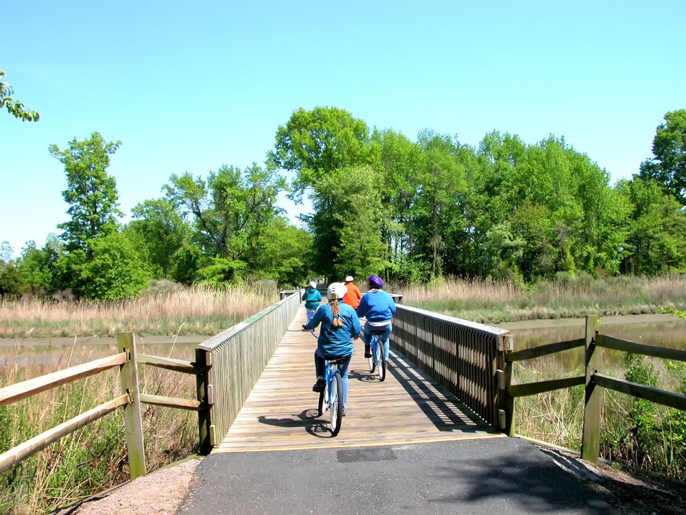 View of People Cycling Around Kent Island