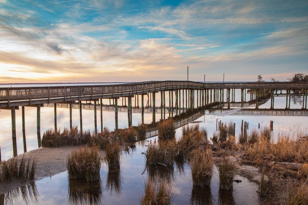 Daytime view of the Duck Boardwalk