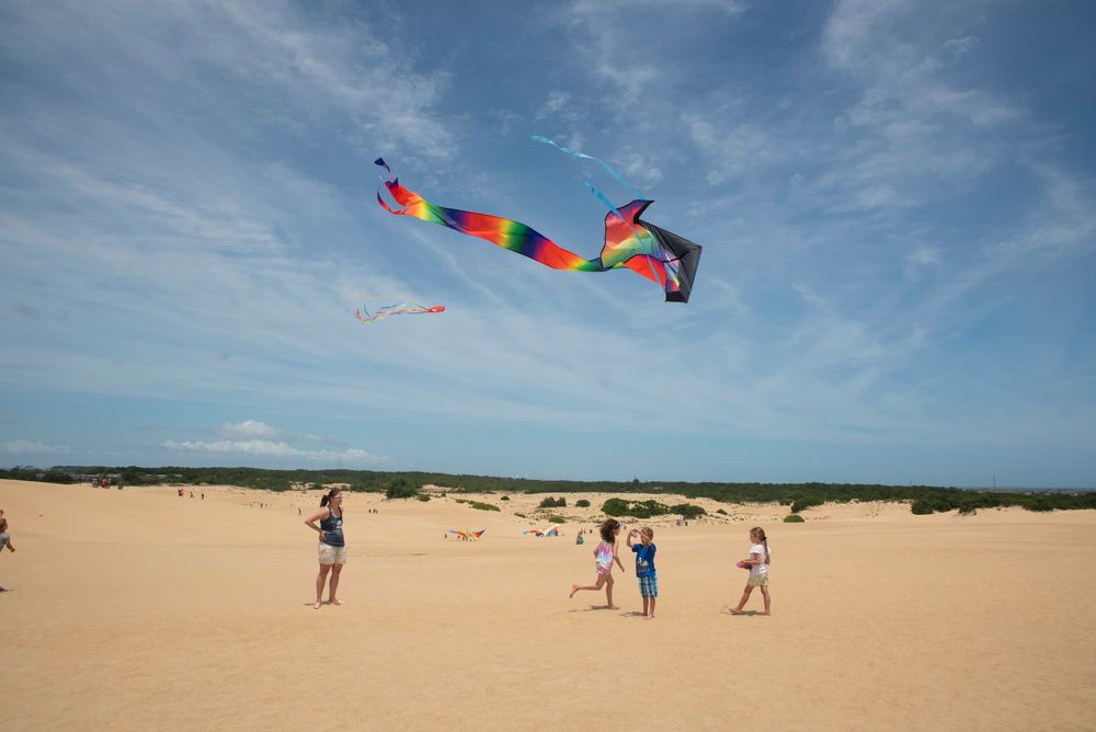 Children flying kites at Jockey's Ridge State Park