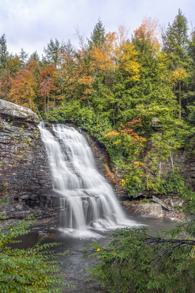 Scenic view of Muddy Creek Falls