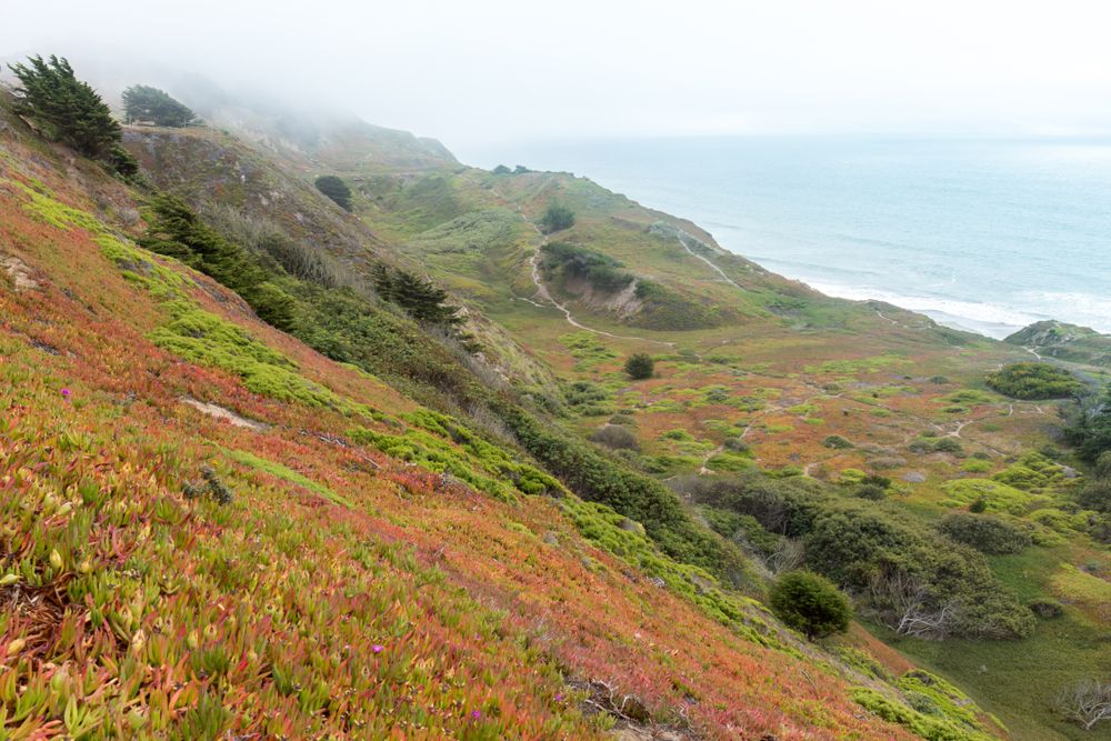 Hill trail at Thornton State Beach