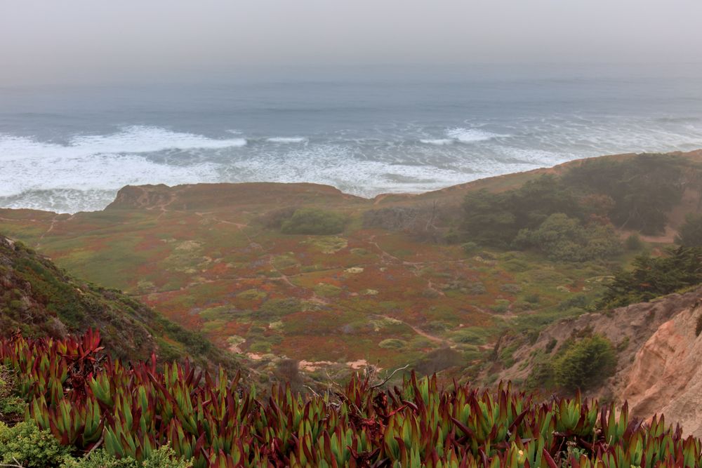 Scenic view of Thornton State Beach